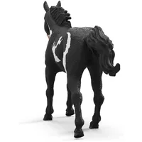 Paint Horse Gelding- 2025 image