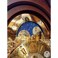 195cm Walnut Grandfather Clock With Westminster Chime & Moon Dial By AMS  image