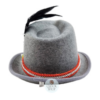 Grey & Red Trilby Party Hat With Feather image