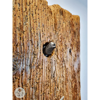 200 Year Old Black Forest Farmhouse Wood 8 Day Mechanical Cuckoo Clock By ROMBA image