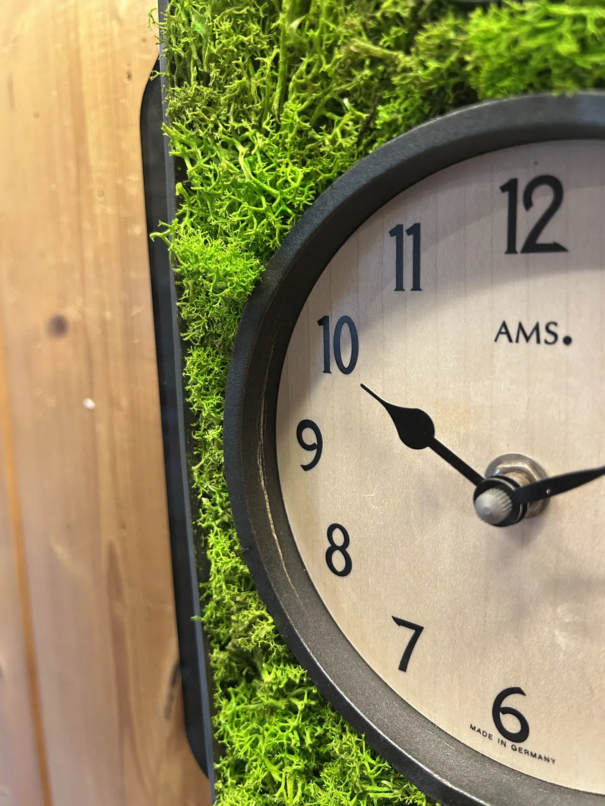 Green Moss Modern Battery Cuckoo Clock 34cm By AMS (Warped and Spilt Wood) image