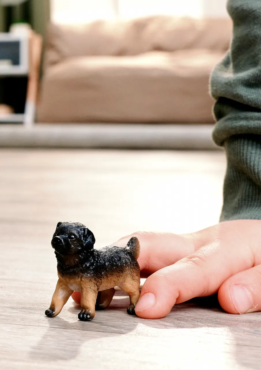 German Shepherd Puppy image