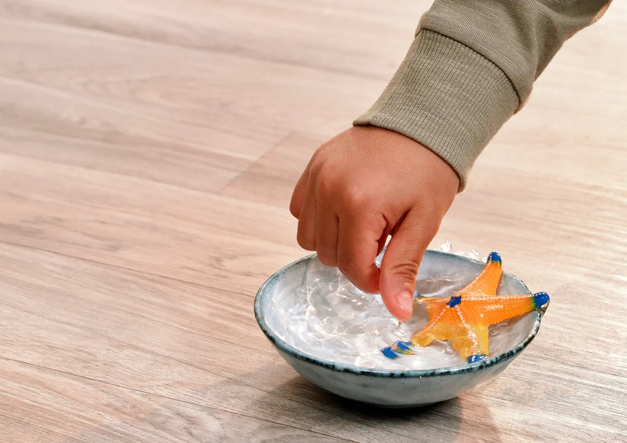 Colour Changing Starfish image