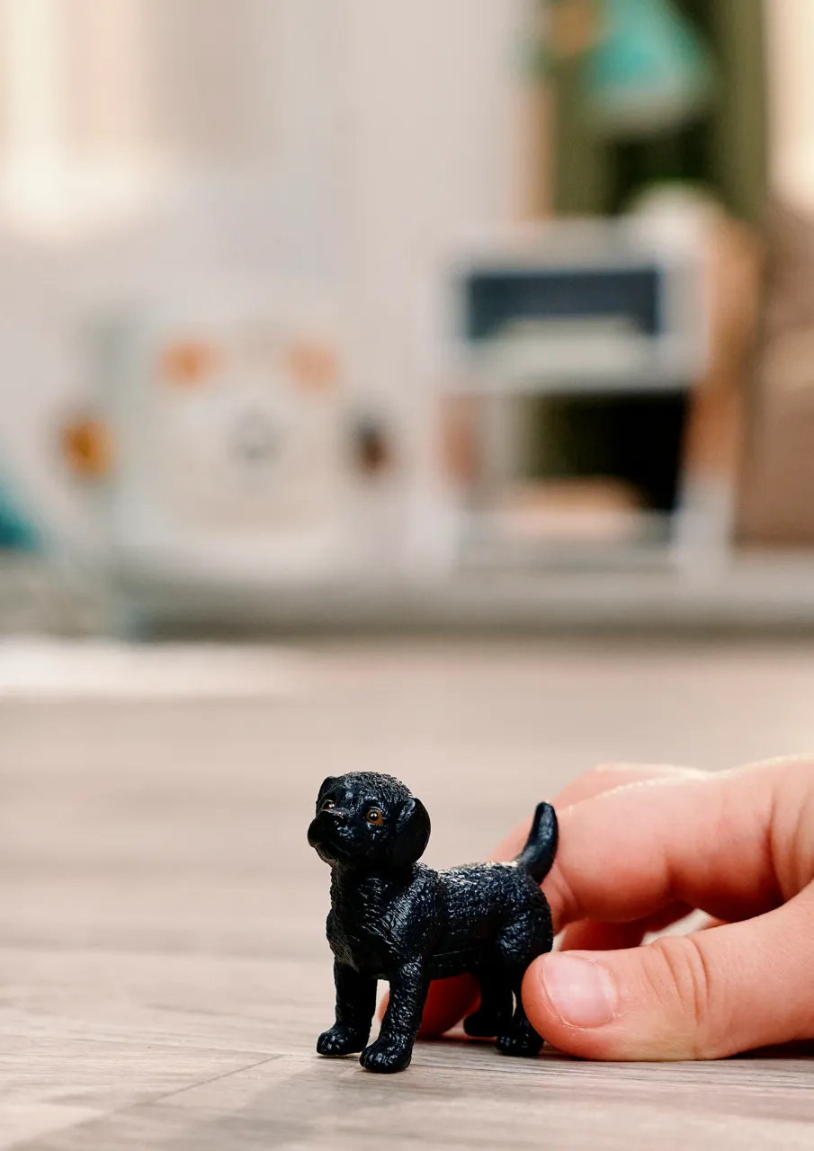 Black Labrador Retriever Puppy image