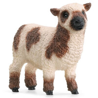 Sheep Friends Set image