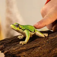 European Tree Frog - 2025 image