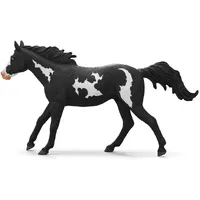 Paint Horse Gelding- 2025 image