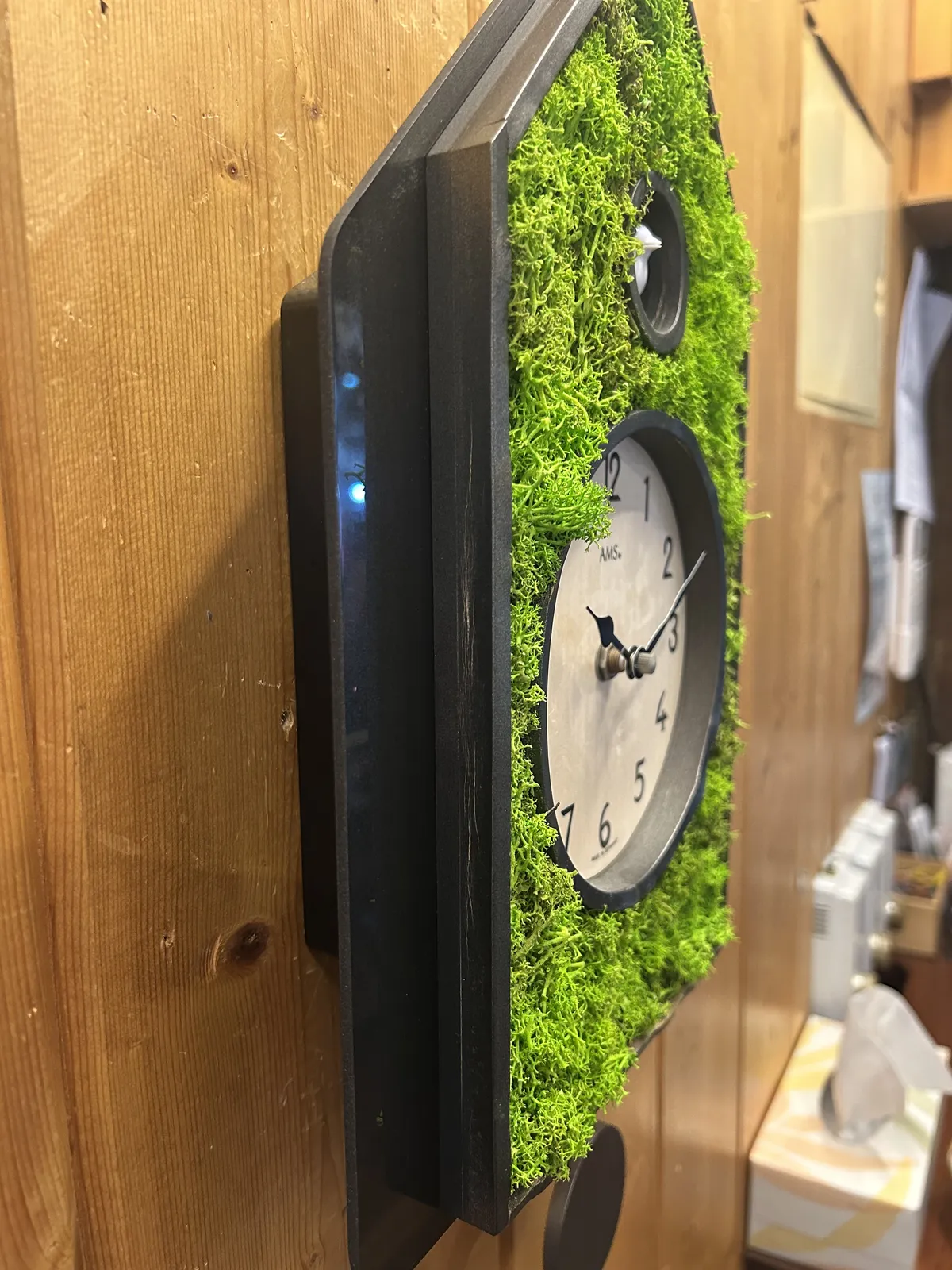 Green Moss Modern Battery Cuckoo Clock 34cm By AMS (Warped and Spilt Wood) image
