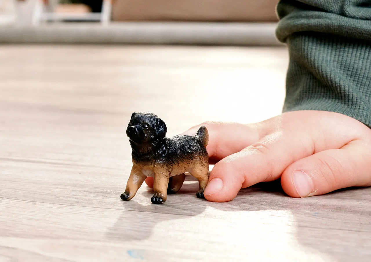 German Shepherd Puppy image