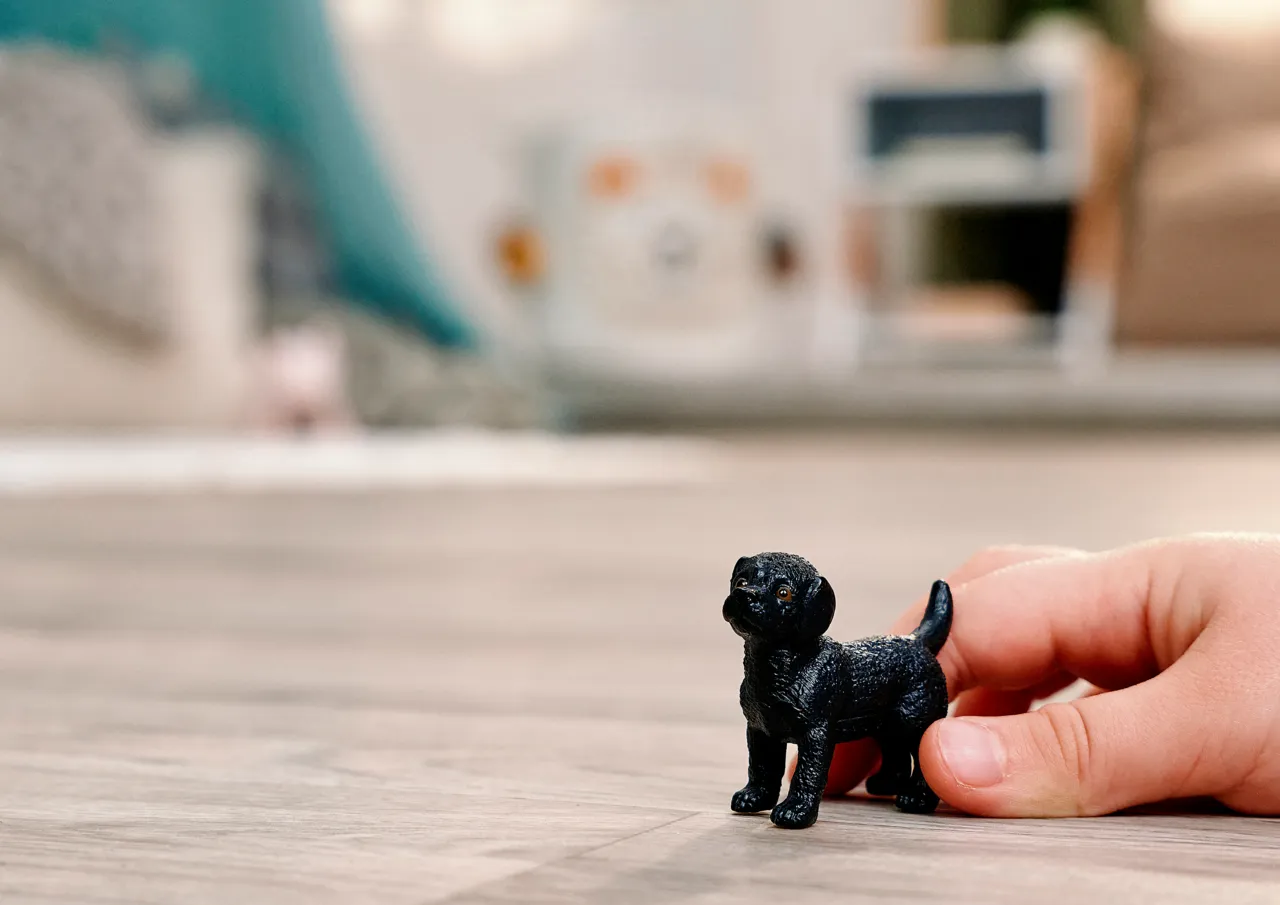 Black Labrador Retriever Puppy image