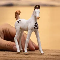 Marwari Foal - 2025 image