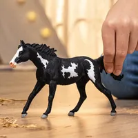 Paint Horse Gelding- 2025 image