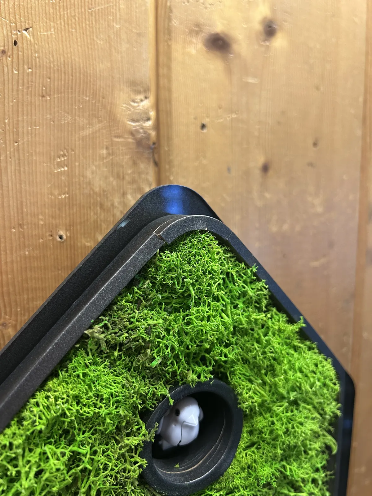 Green Moss Modern Battery Cuckoo Clock 34cm By AMS (Warped and Spilt Wood) image
