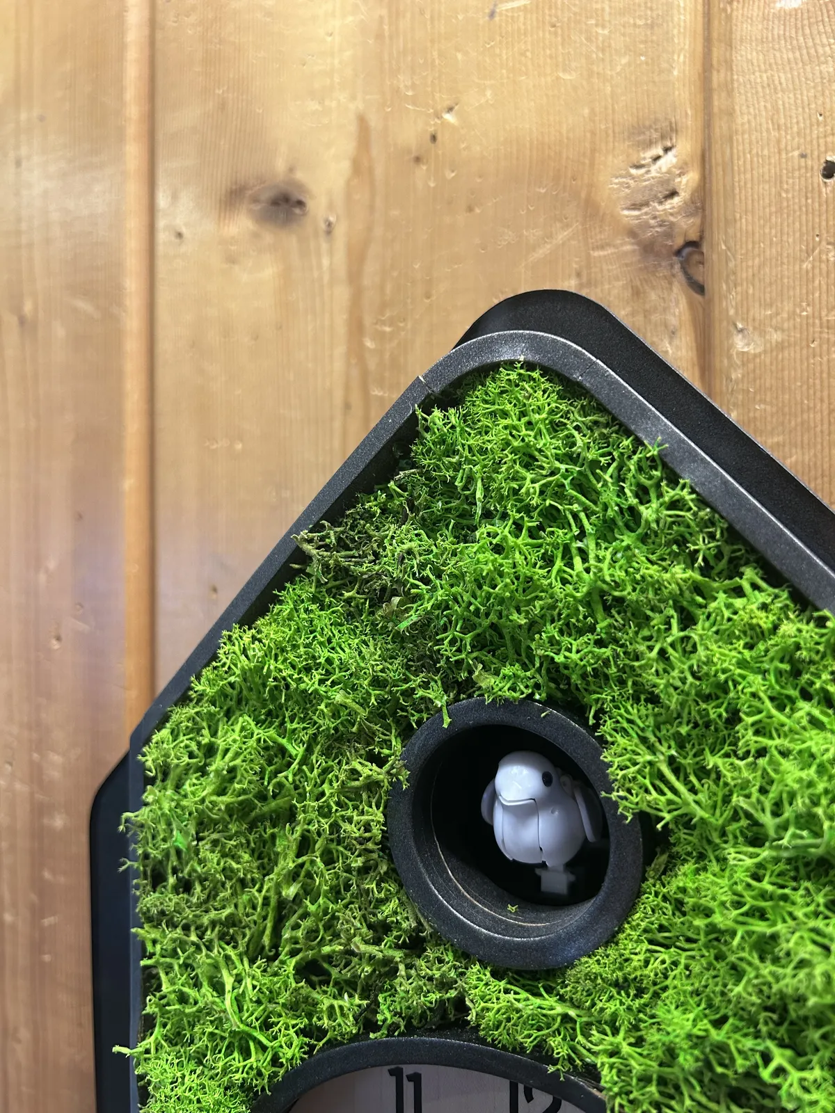 Green Moss Modern Battery Cuckoo Clock 34cm By AMS (Warped and Spilt Wood) image