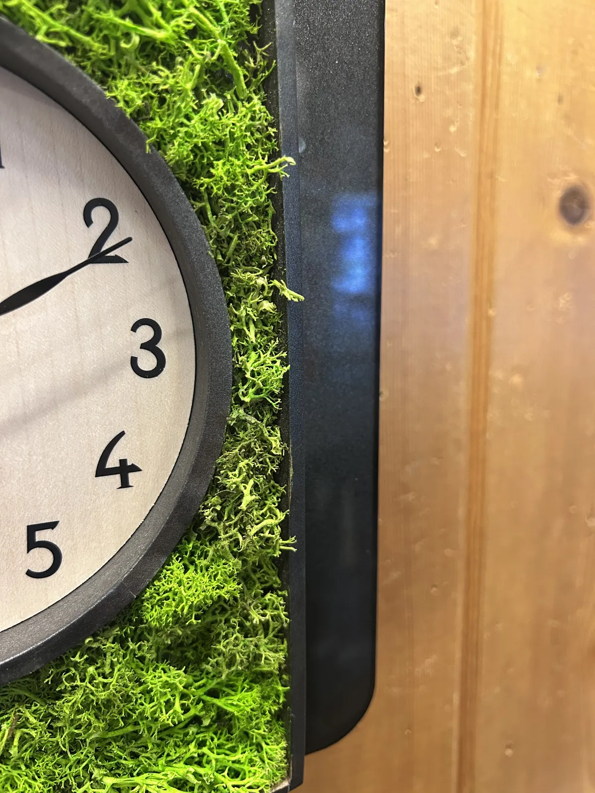 Green Moss Modern Battery Cuckoo Clock 34cm By AMS (Warped and Spilt Wood) image