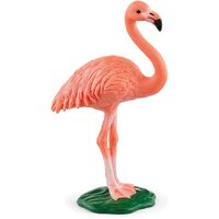 Flamingo  image