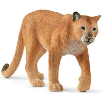 Cougar image