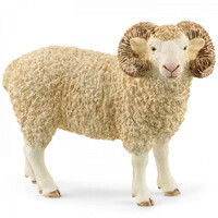 Ram