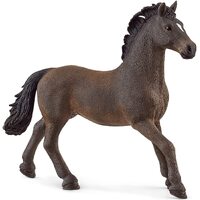 Oldenburger Stallion image