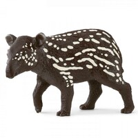 Tapir Calf image