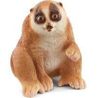 Slow Loris image