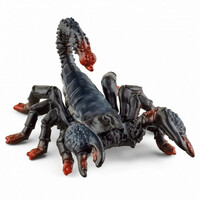 Emperor Scorpion image