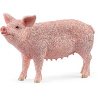 Pig image