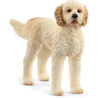 Goldendoodle