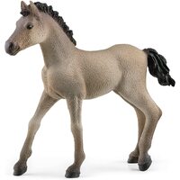 Criollo Definitivo Foal image