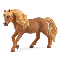 Iceland Pony Stallion image
