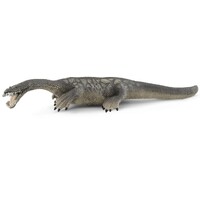 Nothosaurus Dinosaur image