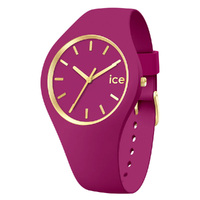 Glam Brushed Collection Orcid Watch with Orcid Strap BY ICE image