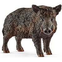 Wild Boar image