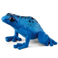 Blue Poison Dart Frog image
