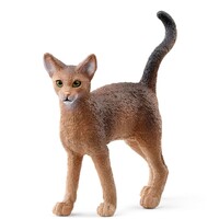 Abyssinian Cat image