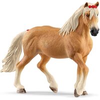 Haflinger Mare image
