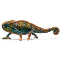 Chameleon image