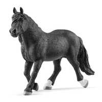 Noriker Stallion image