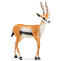 Thomson Gazelle image