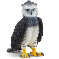 Harpy Eagle image