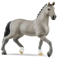 Selle Francais Stallion