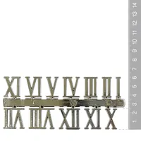 25mm Silver Roman Numerals image