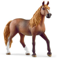 Peruvian Paso Mare