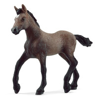 Peruvian Paso Foal image