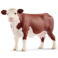 Hereford Cow image