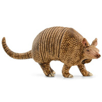 Armadillo image