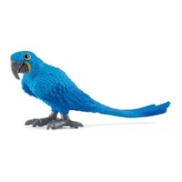 Hyacinth Macaw image