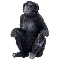 Bonobo Female