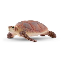 Hawksbill Sea Turtle image