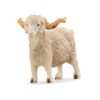 Angora Goat